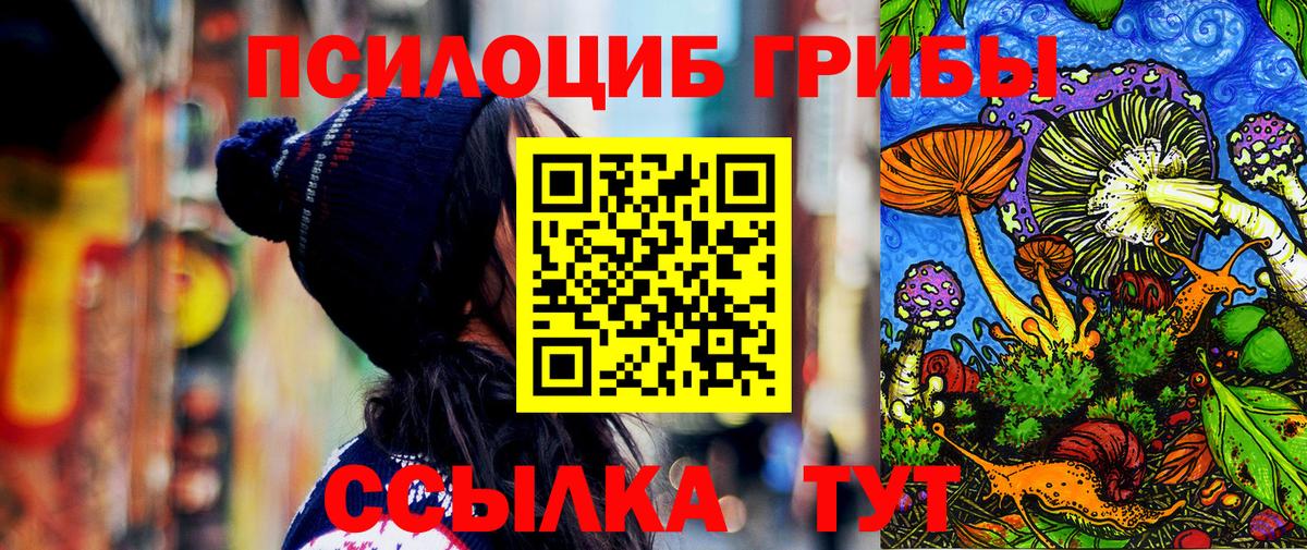 Галлюциногенные грибы ЛСД Горно-Алтайск